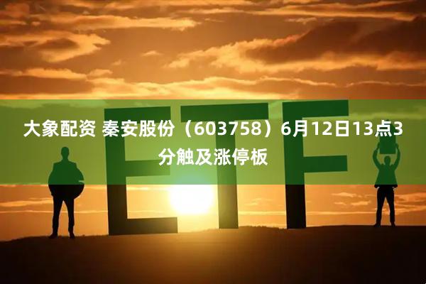 大象配资 秦安股份（603758）6月12日13点3分触及涨停板