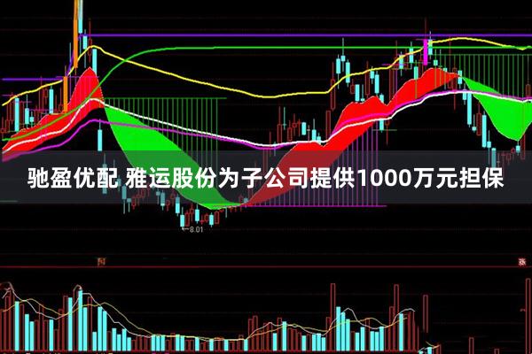 驰盈优配 雅运股份为子公司提供1000万元担保