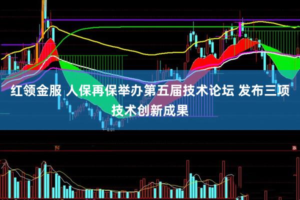 红领金服 人保再保举办第五届技术论坛 发布三项技术创新成果