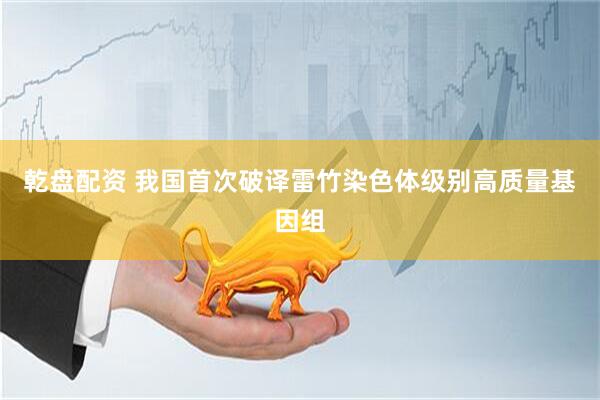 乾盘配资 我国首次破译雷竹染色体级别高质量基因组