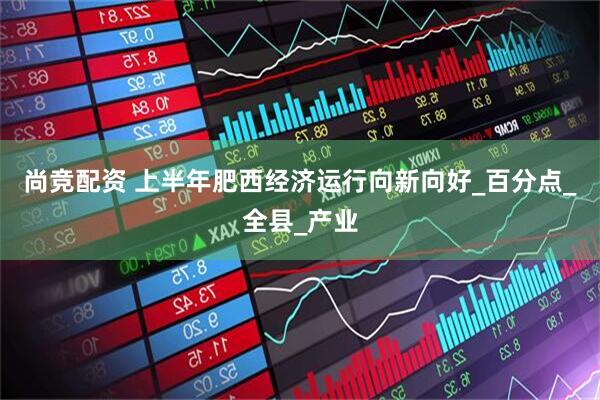 尚竞配资 上半年肥西经济运行向新向好_百分点_全县_产业