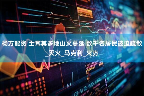 杨方配资 土耳其多地山火蔓延 数千名居民被迫疏散_灭火_马克利_火势