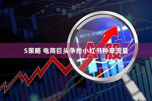 5策略 电商巨头争抢小红书种草流量