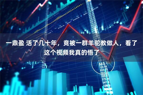 一鼎盈 活了几十年，竟被一群羊驼教做人，看了这个视频我真的悟了