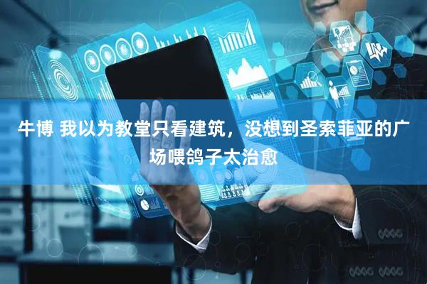 牛博 我以为教堂只看建筑，没想到圣索菲亚的广场喂鸽子太治愈