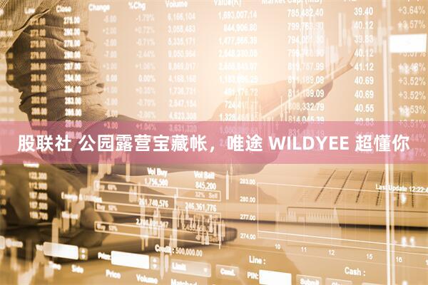 股联社 公园露营宝藏帐，唯途 WILDYEE 超懂你